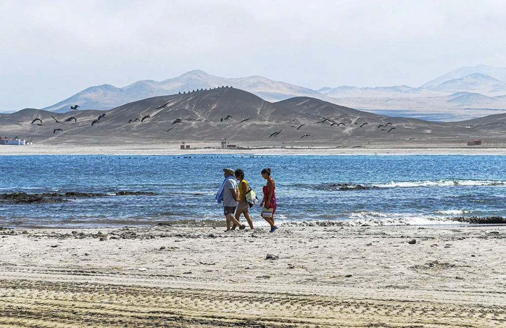 paracas y nazca en 2 dias portada web